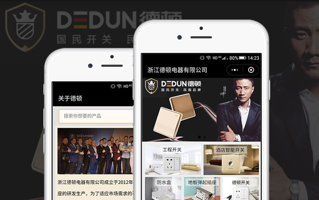 浙江德顿电器有限公司