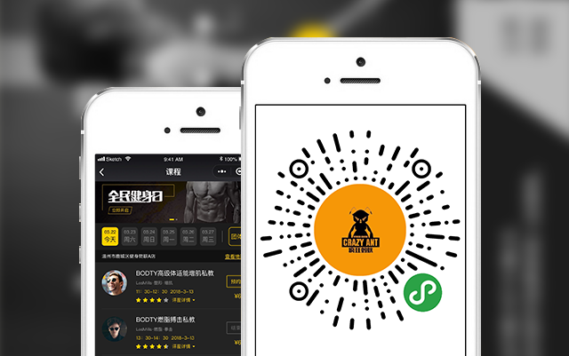 疯狂蚂蚁健身